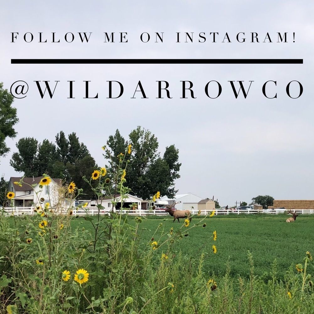 Find me on Insta! @wildarrowco